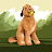 suhas k avatar image