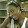 maggie tinarwo maggie tinarwo's profile photo