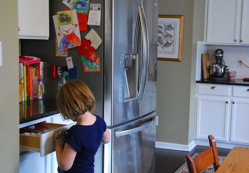 Kitchen Fridge Area