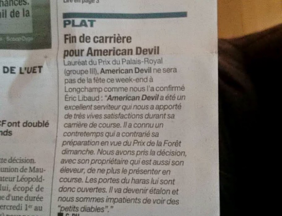 American Devil Turf%2520american%2520devil