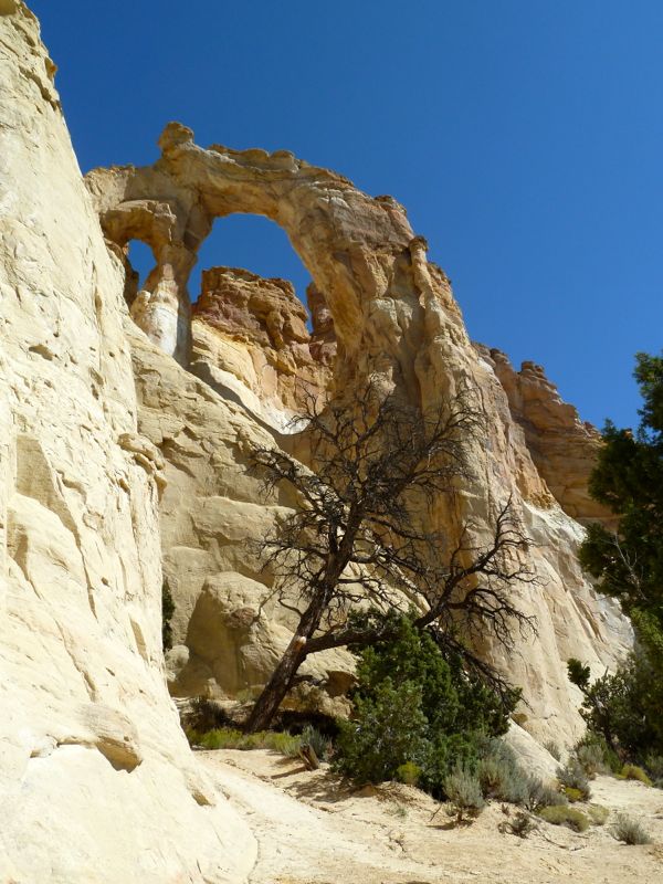 USA2011-205.jpg