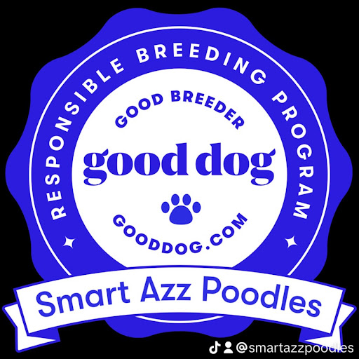 Smart Azz Aussiedoodles And Poodles
