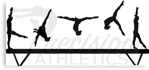 Precision Athletics logo