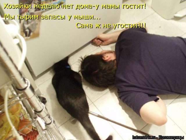 Ни дня без улыбки. Афоризмы от Александр Дюма (сын) Ни дня без улыбки. Афоризмы от Александр Дюма (сын)