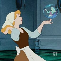 prinses review