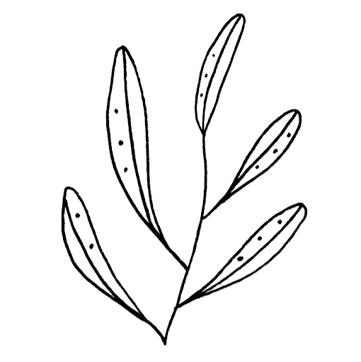 Lilablum – pflanzengefärbte Accessoires in Schweizer Handarbeit logo