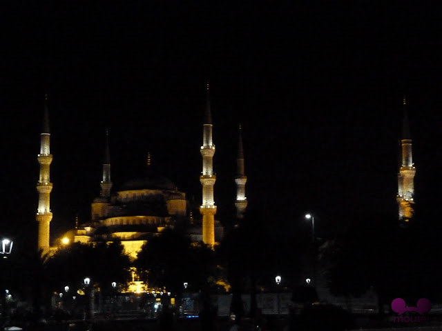 Simplemente Estambul - Blogs de Turquia - Santa Sofia, Gran Bazar, Crucero Bósforo, etc 25/09/12 (24)