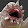 Bert Verhulst Bert Verhulst's profile photo