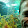 EUGENIO ALVAREZ EUGENIO ALVAREZ's profile photo