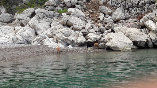 Adrasan Bay