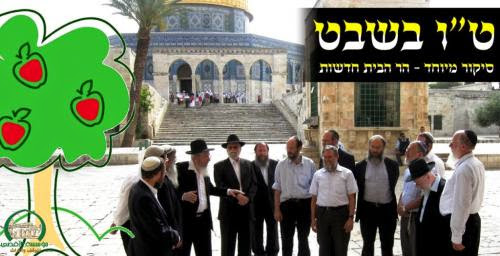 Plo Says Jews Visiting Temple Mount Is Against International Law