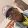 Ezechiel P. Attyn Ezechiel P. Attyn's profile photo