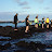 RedMangroveGalapagos