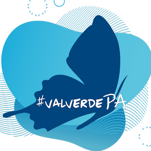 Valverde School of Performing Arts logo