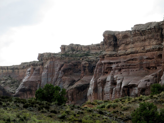 Wet canyon walls in Courthouse Wash