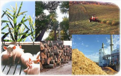 About Biomass Conversion Technologies