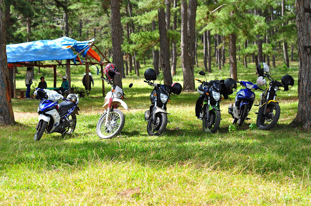 Review - Phượt Đà Lạt --> Suối Vàng ---> Thác Voi qua cung đường đèo Gia Bắc. - 3