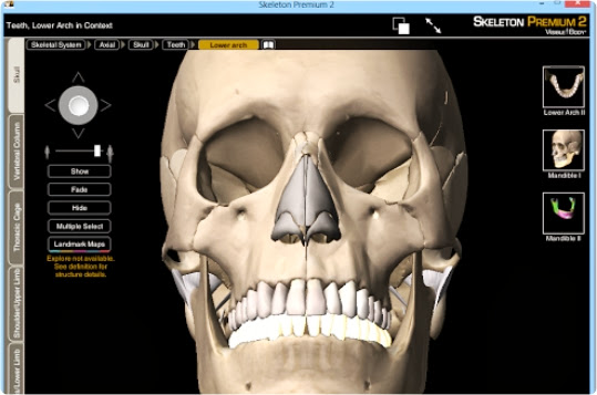 Skeleton Premium v2.0 Guia Visual 3D de la Anatomia Esqueletica Humana 2013-08-11_01h25_54