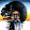 Marcus Burks Marcus Burks's profile photo