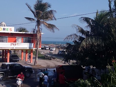 Photos of Chachalacas