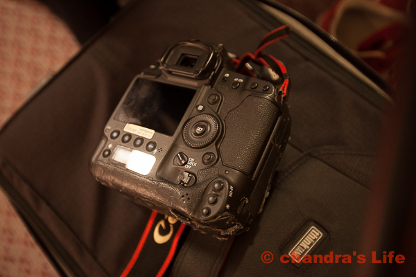Photo Photo