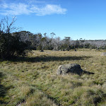 Wide grassy plain (269336)