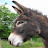 David Brown avatar image