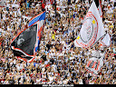TORCIDA TRICOLOR INDEPENDENTE