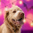 Kevin Briggs avatar image