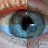 Paul Manzi avatar image