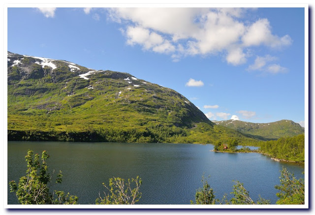 Viaje a la Noruega de los fiordos III - Viaje a la Noruega de los fiordos y Copenhague. (7)