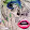 Rosanna Volpi Rosanna Volpi's profile photo