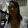 Tereza Roseno Tereza Roseno's profile photo