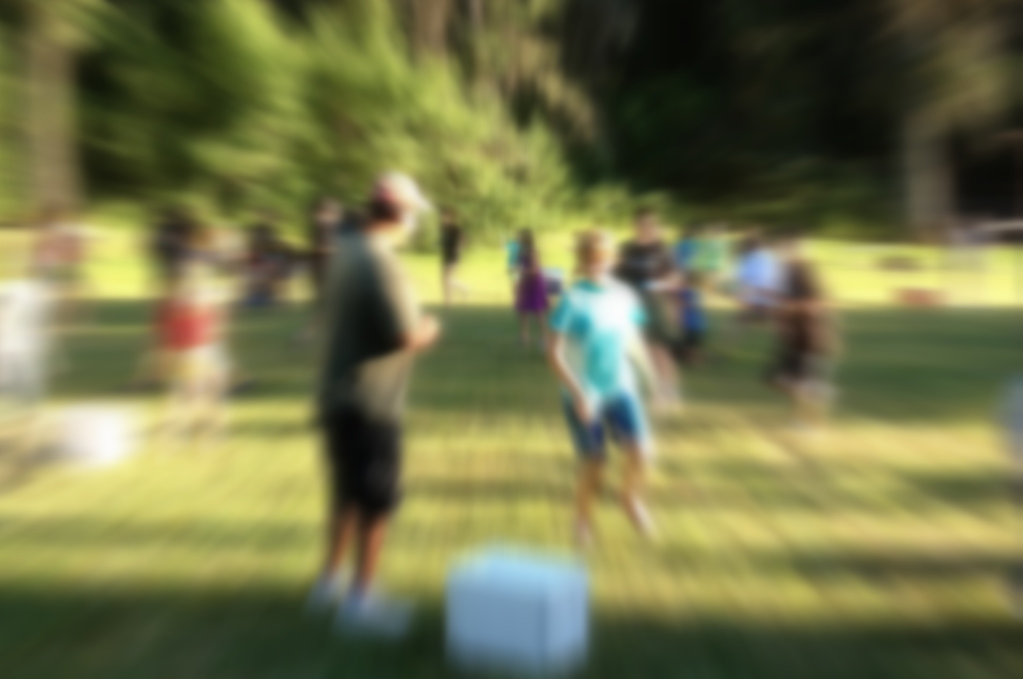 Picture of a group of people playing a game in the park. Because the picture is very blurred, none of the people are recognizable.