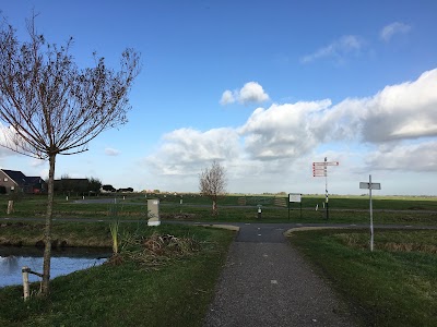 Photos of Yellow Bike Tours & Rental