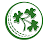 cricketirelandtv