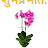 Deepak Bhardwaj review