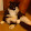 Mike Norton Mike Norton's profile photo