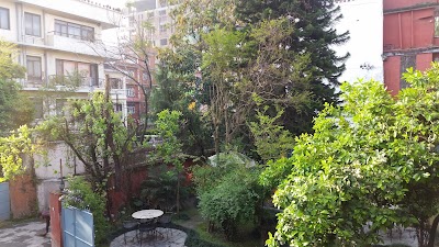 Photos of Hotel Blue Horizon