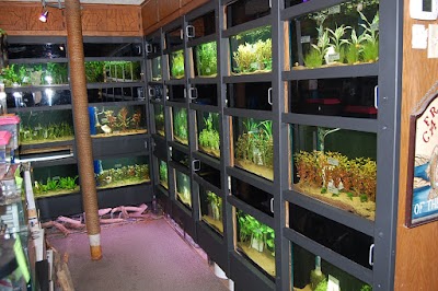 Photos of Fish Factory