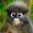 Anthony Ulsh avatar image