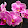 Marvel Betchwars Marvel Betchwars's profile photo