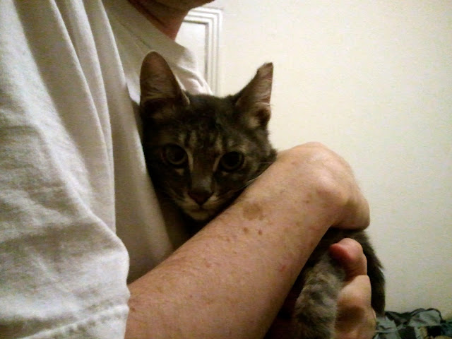 holding burrito