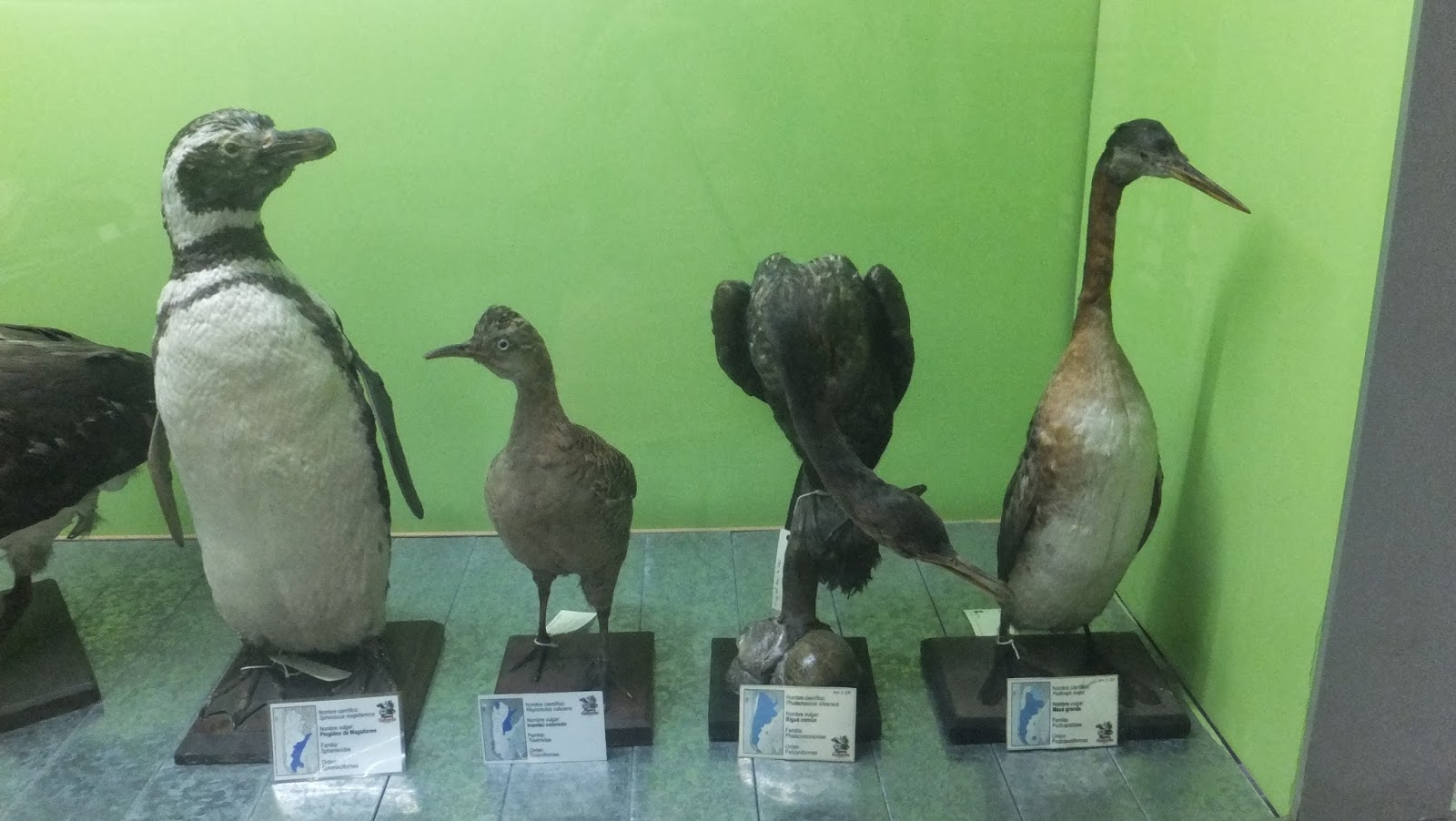 Museo Provincial de Ciencias Naturales Angel Gallardo, Rosario, Argentina, Elisa N, Blog de Viajes, Lifestyle, Travel