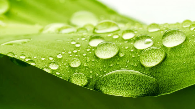 Cover photo