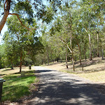 Trail amongst trees and grassland at Richley Reserve in Blackbutt Reserve (401695)
