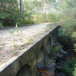 Six Foot Track crossing thh culverted Devils Hole Creek (411590)
