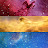 Dawn Nesja avatar image