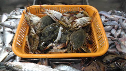 Prime Cut Fish & Meat Store, Gunjur-Doddakannelli Rd, Carmelaram, Janatha Colony, Chikkabellandur, Bengaluru, Karnataka 560035, India, Seafood_Market, state KA