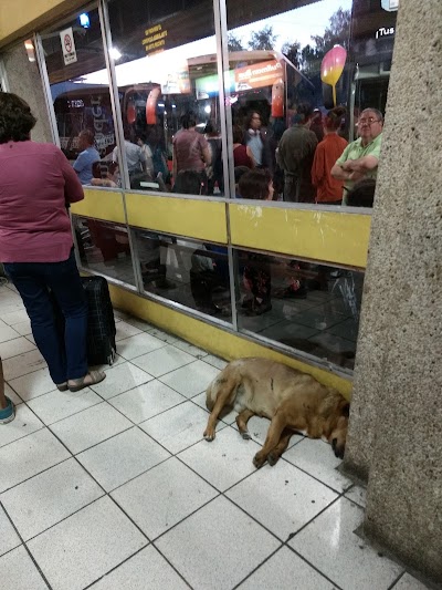 Photos of Osorno Bus Terminal